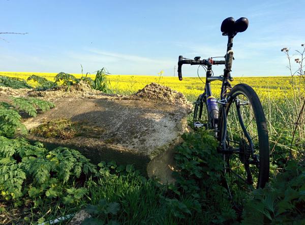 A touring bicycle positioned beside a concrete water trough or culvert in a rural farm setting. In the background is a vibrant field of bright yellow rapeseed (canola) flowers stretching to the horizon.