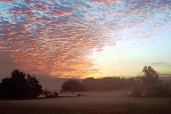 A tranquil early morning scene with silhouetted trees, a misty field, and a dramatic sunrise sky filled with orange and purple clouds spreading across the horizon.