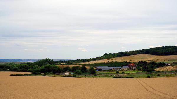 Gently sloped agricultural fields in the foreground with a cluster of farm buildings and a farmhouse surrounded by trees and hedges, set under an overcast sky.