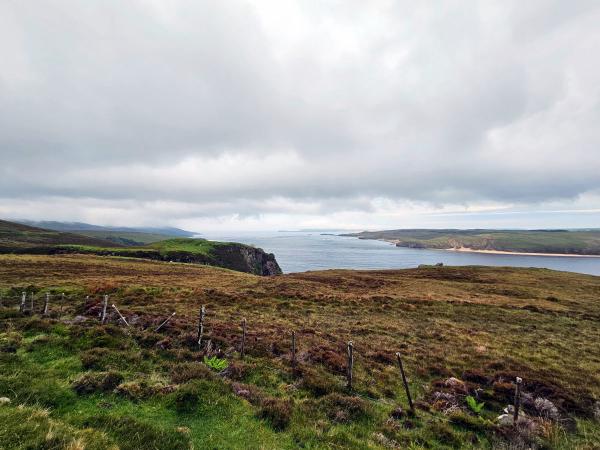 A narrow, weathered country road winds through open green moorland under an overcast sky. Low hills and grass stretch into the distance on either side of the road.