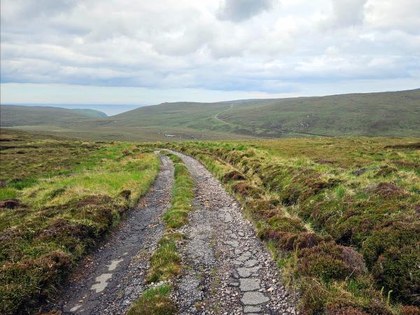 A rough, narrow track winds through open moorland, with patches of grass and moss on each side, hills visible in the distance, and a cloudy sky overhead.