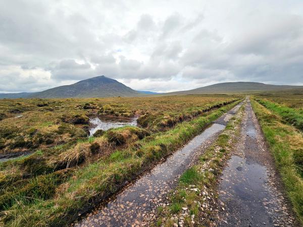 A rugged single-lane gravel track stretches into the distance across a windswept moorland, with a prominent mountain rising in the background under a cloudy sky. Pools of water and lush green moss line the track.
