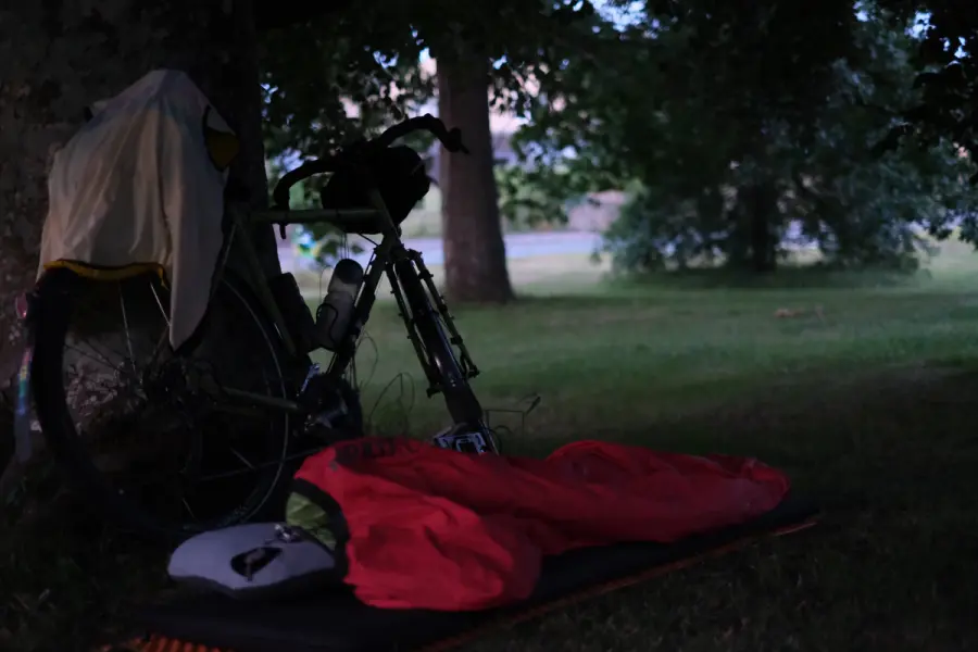 A bicycle with a bivvy bag leans against a large tree at dawn.