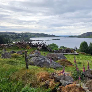 Lough Tait, County Sligo