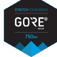 Gore Wear 24 in 24