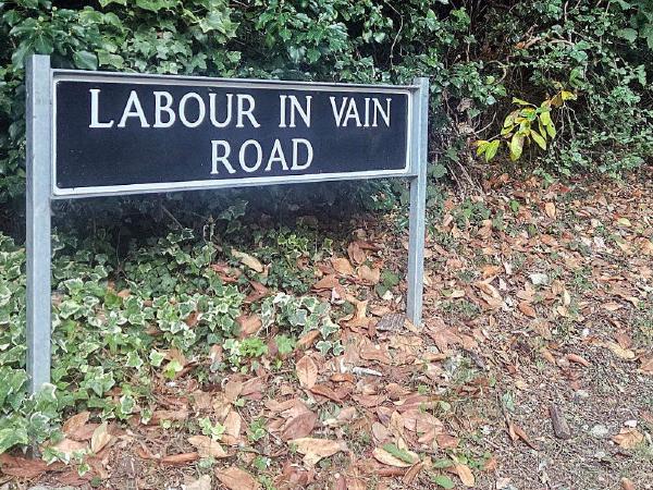 Black rectangular street sign with white lettering reading ‘Labour in Vain Road’, mounted on silver metal posts amid ivy and scattered autumn leaves on a grass verge.