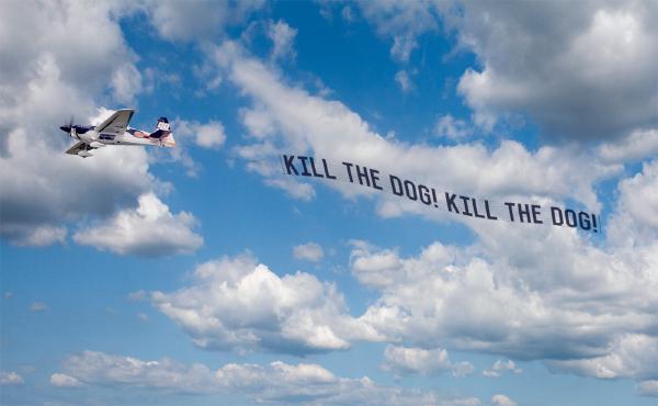 Kill the dog!