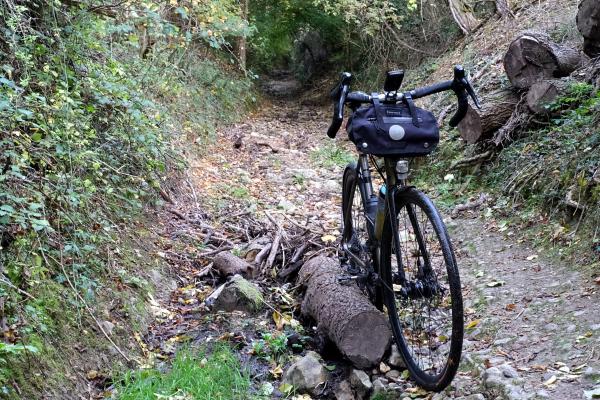 Gravelly woodland track littered with sticks and stones, blocked by a fallen log, with a touring gravel bike leaning against it, small ferns and autumn leaves lining the narrow path.