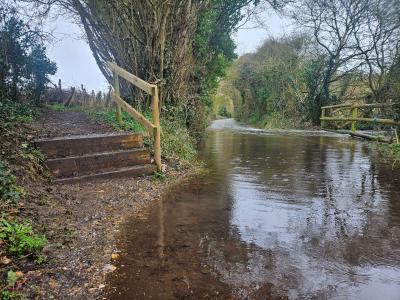 Dry Path Muddy footpath with wooden steps beside a narrow country lane flooded with shallow water between hedgerows.
